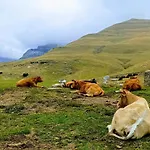 Casa Pirinea Ordesa Lantställe
