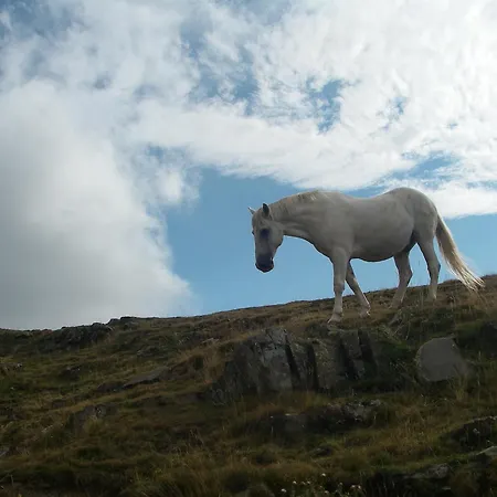 Lantställe Casa Pirinea Ordesa