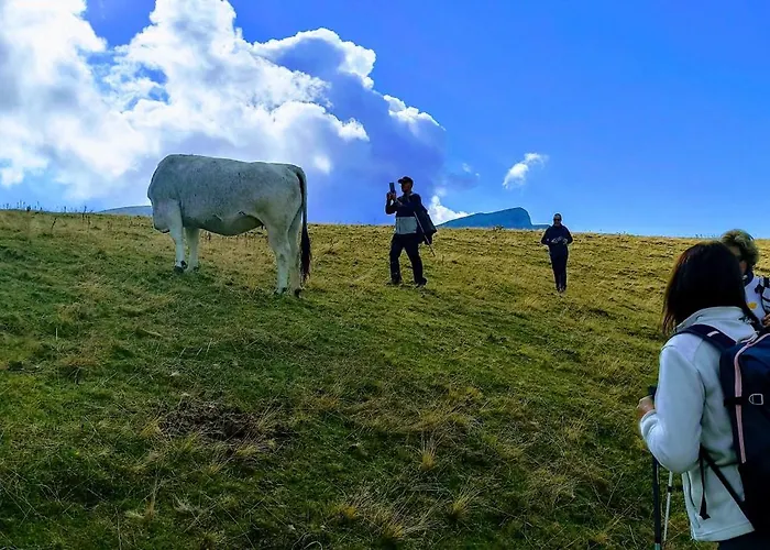 Casa Pirinea Ordesa Lantställe Belsierre
