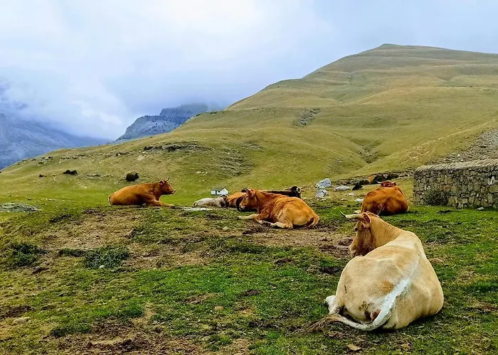 Casa Pirinea Ordesa Lantställe