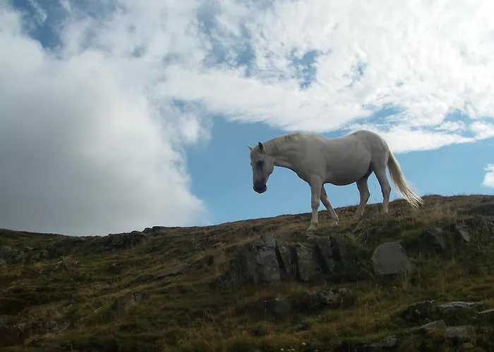 Casa di campagna Casa Pirinea Ordesa