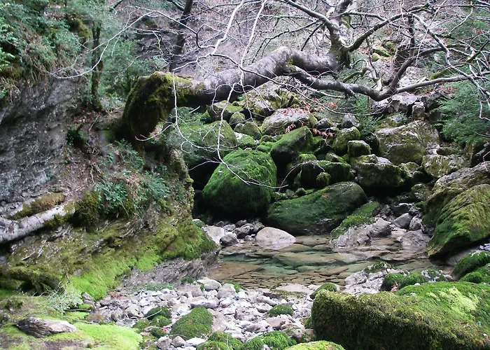 Casa Pirinea Ordesa Belsierre