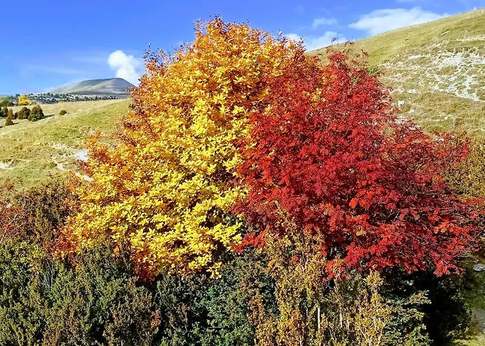 Casa Pirinea Ordesa * Belsierre